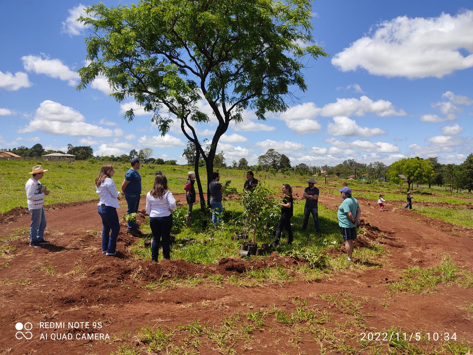 Plantio de Árvores pelos Moradores